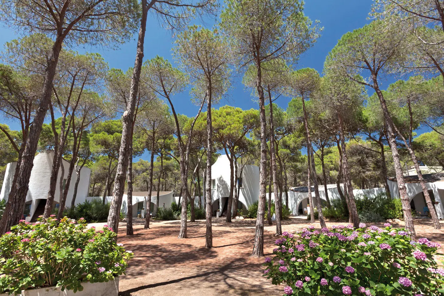 Mare Pineta EXTERIOR