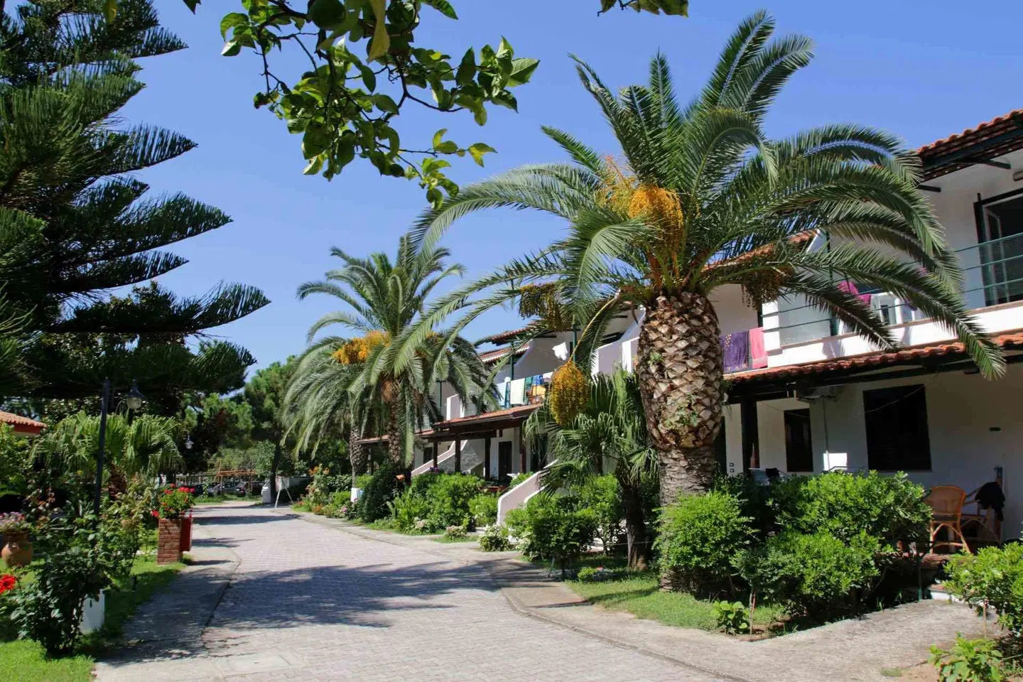 Sciabache EXTERIOR