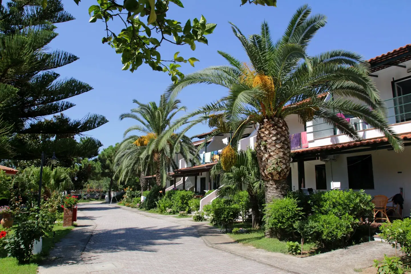 Sciabache EXTERIOR