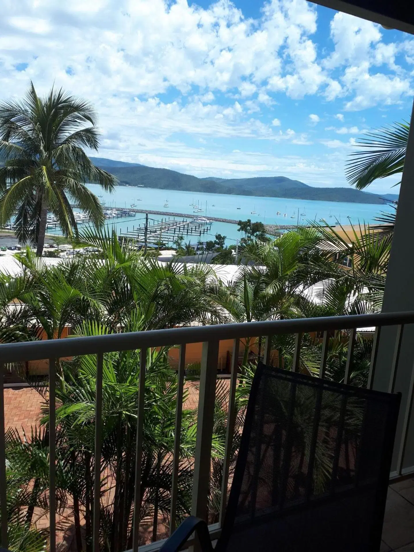 Airlie Apartments LANDSCAPE