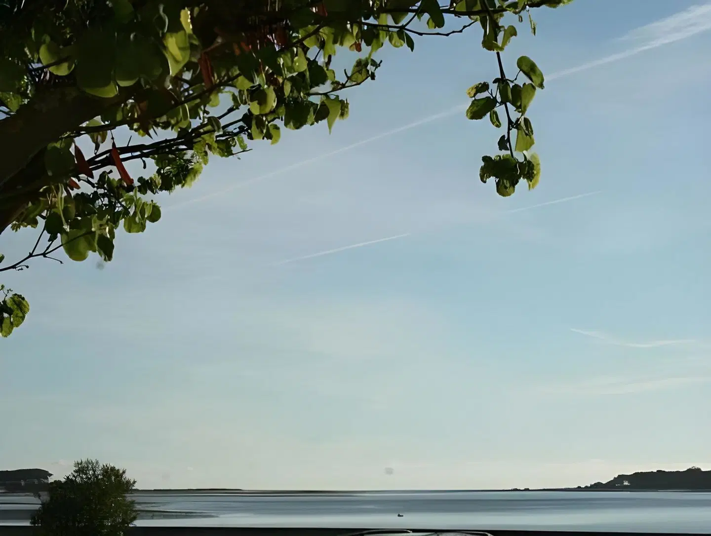 Muralha de Caminha LANDSCAPE