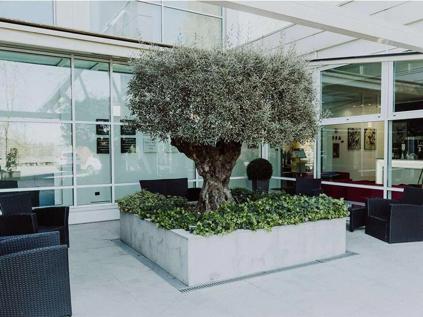Carpi Terrasse