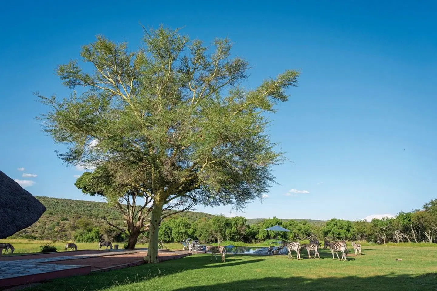 Zebras Crossing Lodge Garten