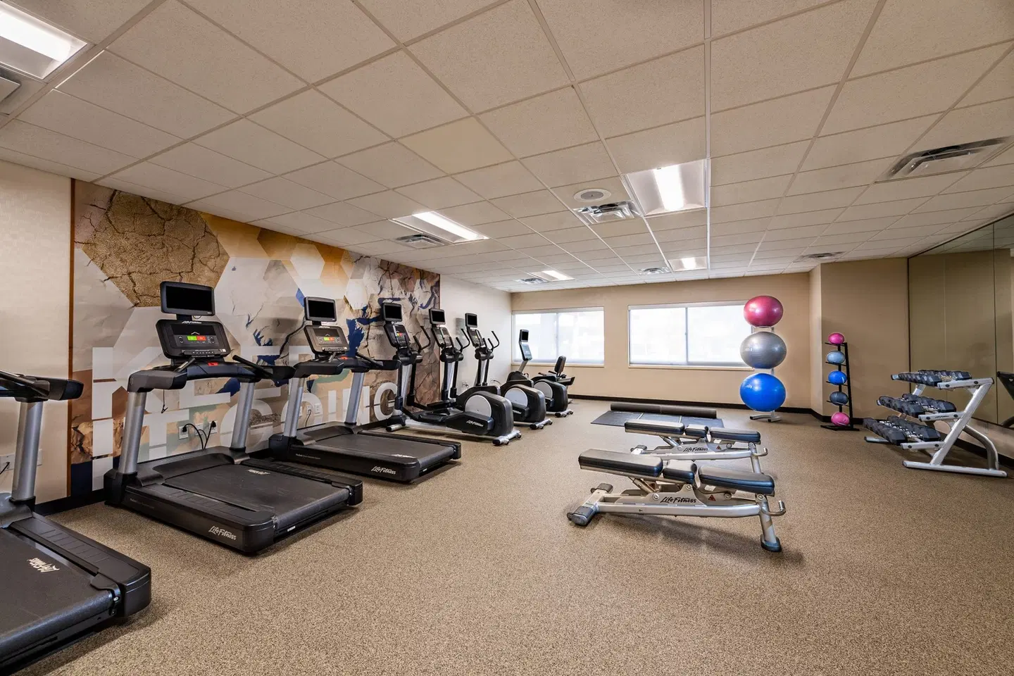 SpringHill Suites by Marriott Houston Medical Center/NRG Park SPORTS_AND_LEISURE