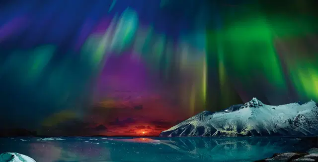 Nordlichter & heiße Quellen Tiere