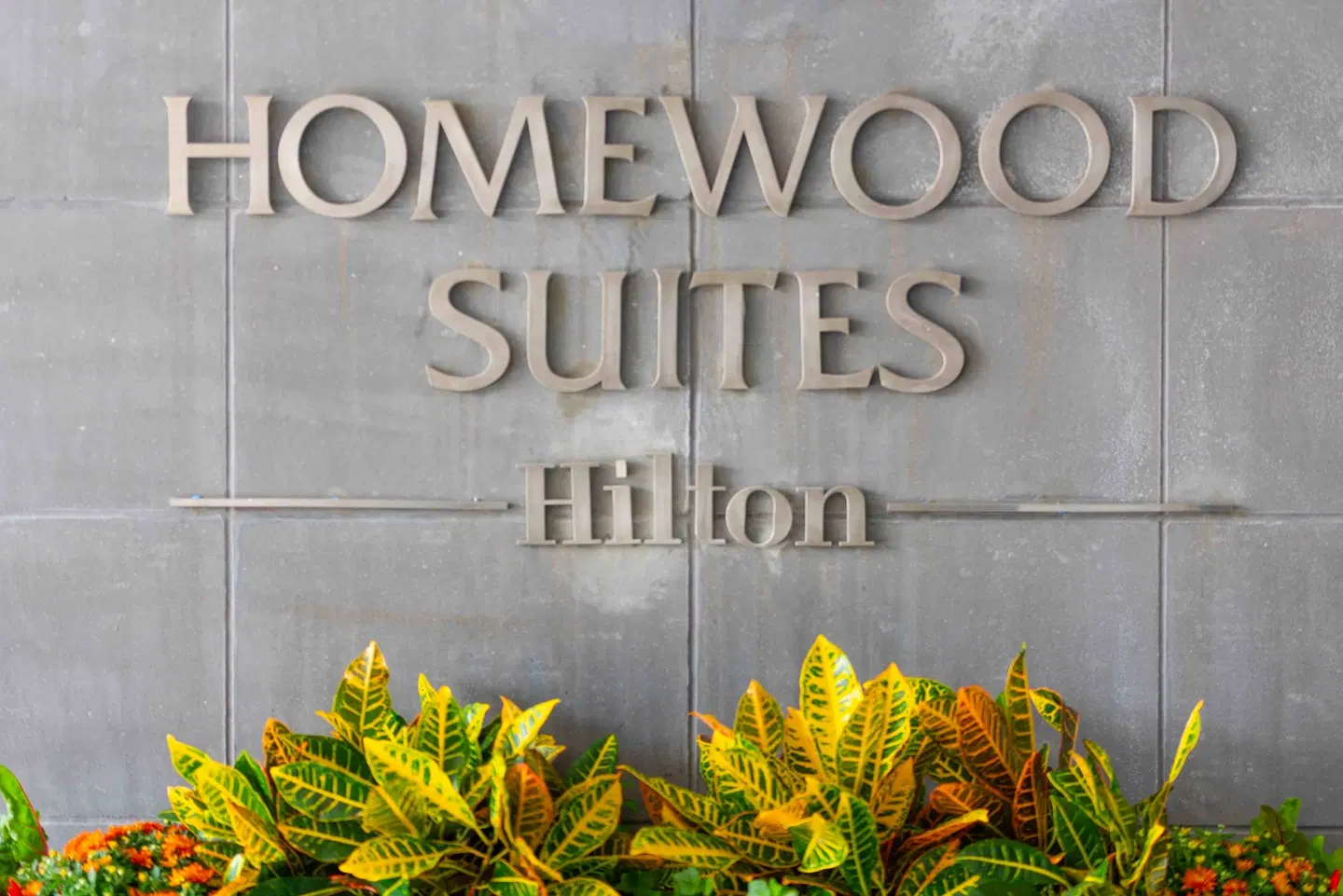 Homewood Suites by Hilton Boston Logan Airport Chelsea EXTERIOR
