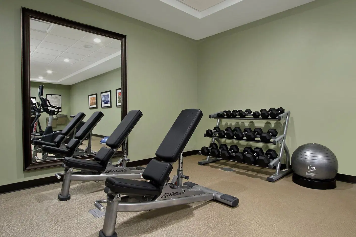 Staybridge Suites Houston - Medical Center by IHG SPORTS_AND_LEISURE