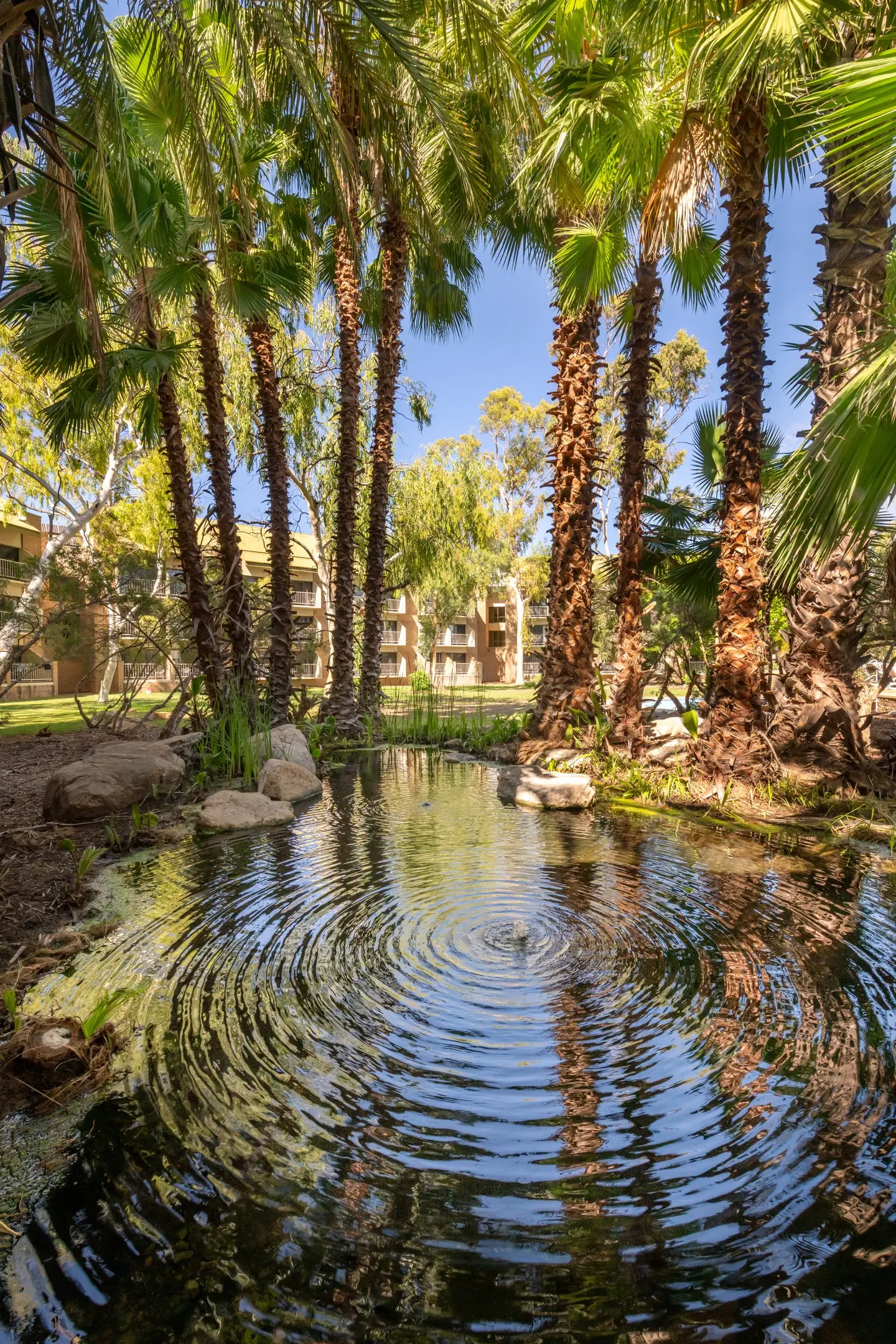 DoubleTree by Hilton Hotel Alice Springs Garten
