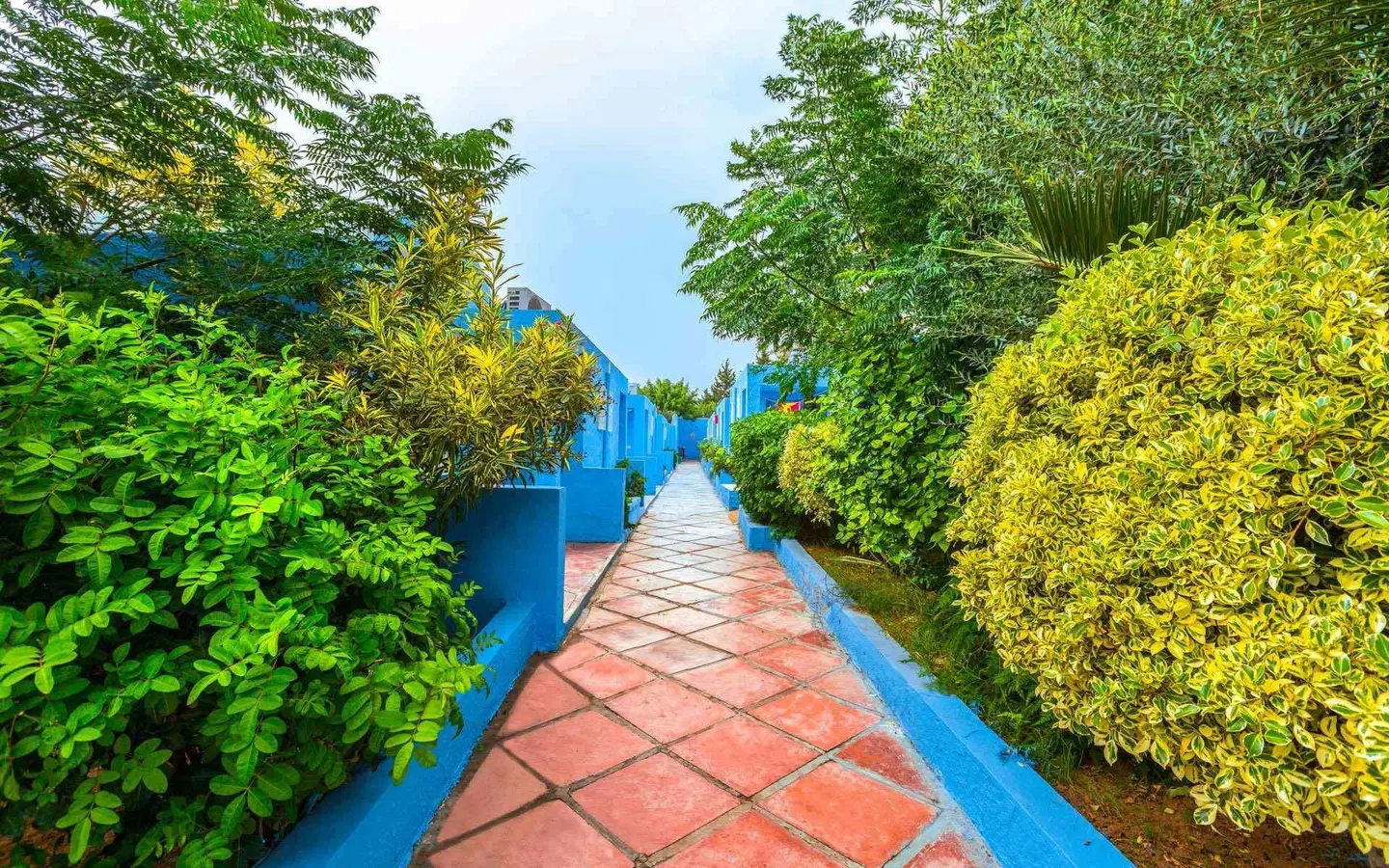 Samira Club LANDSCAPE