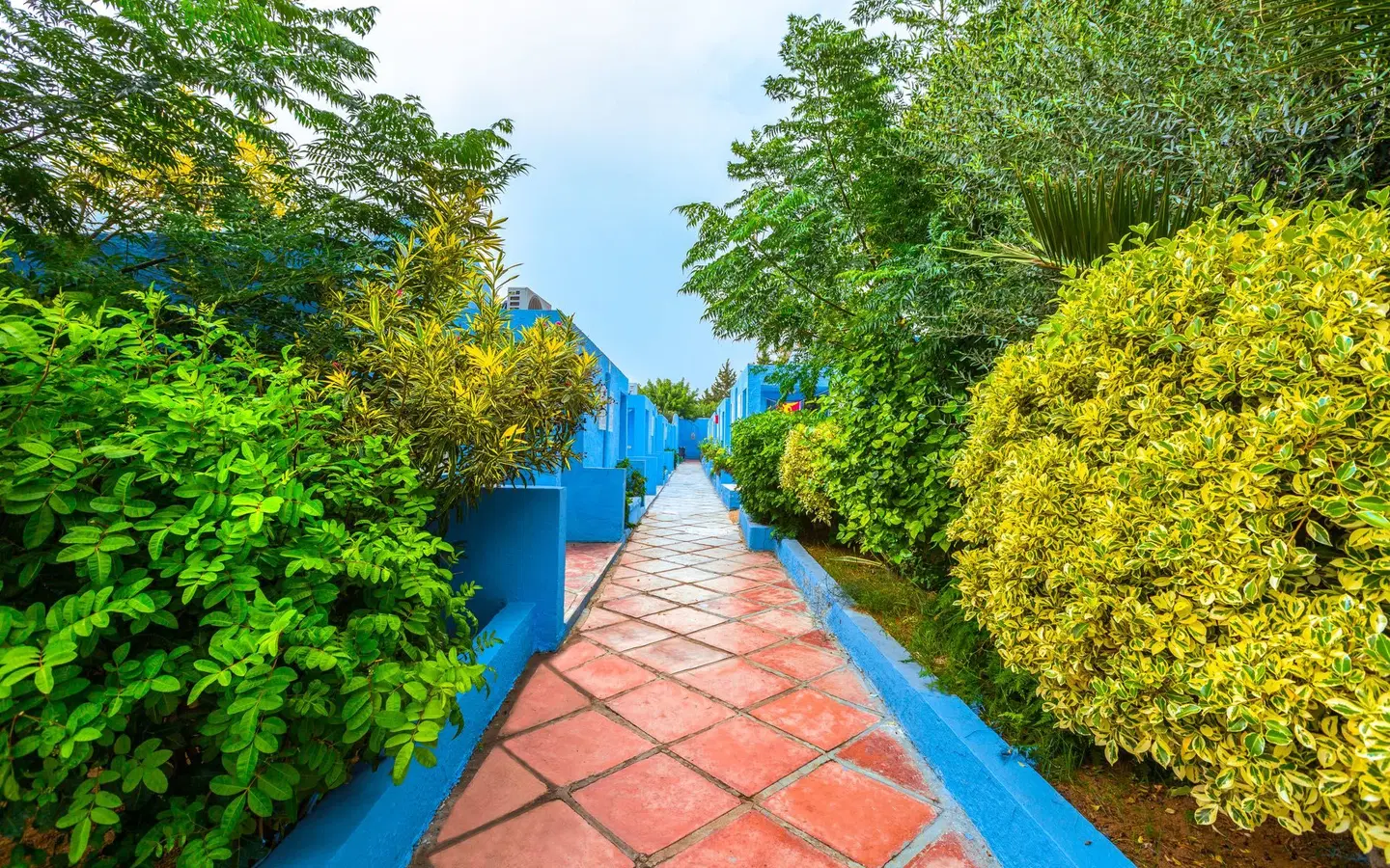 Samira Club Garten