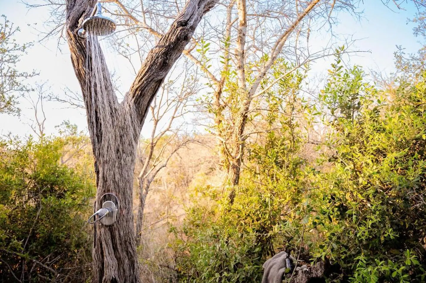 Shimungwe lodge Tiere