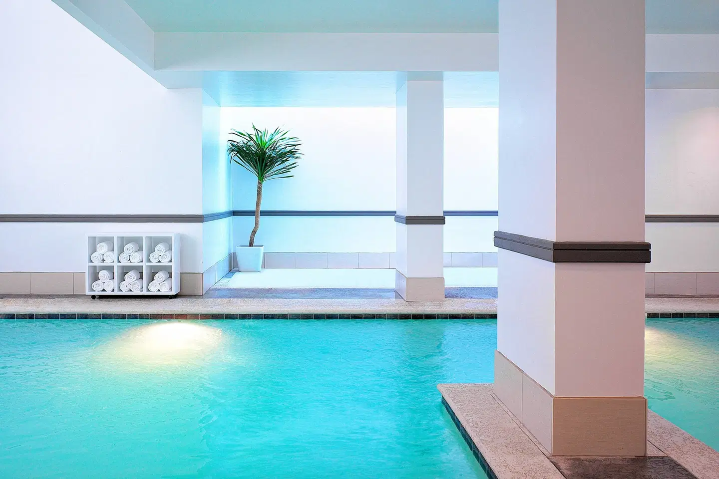Le Méridien Dallas by the Galleria Hallenbad