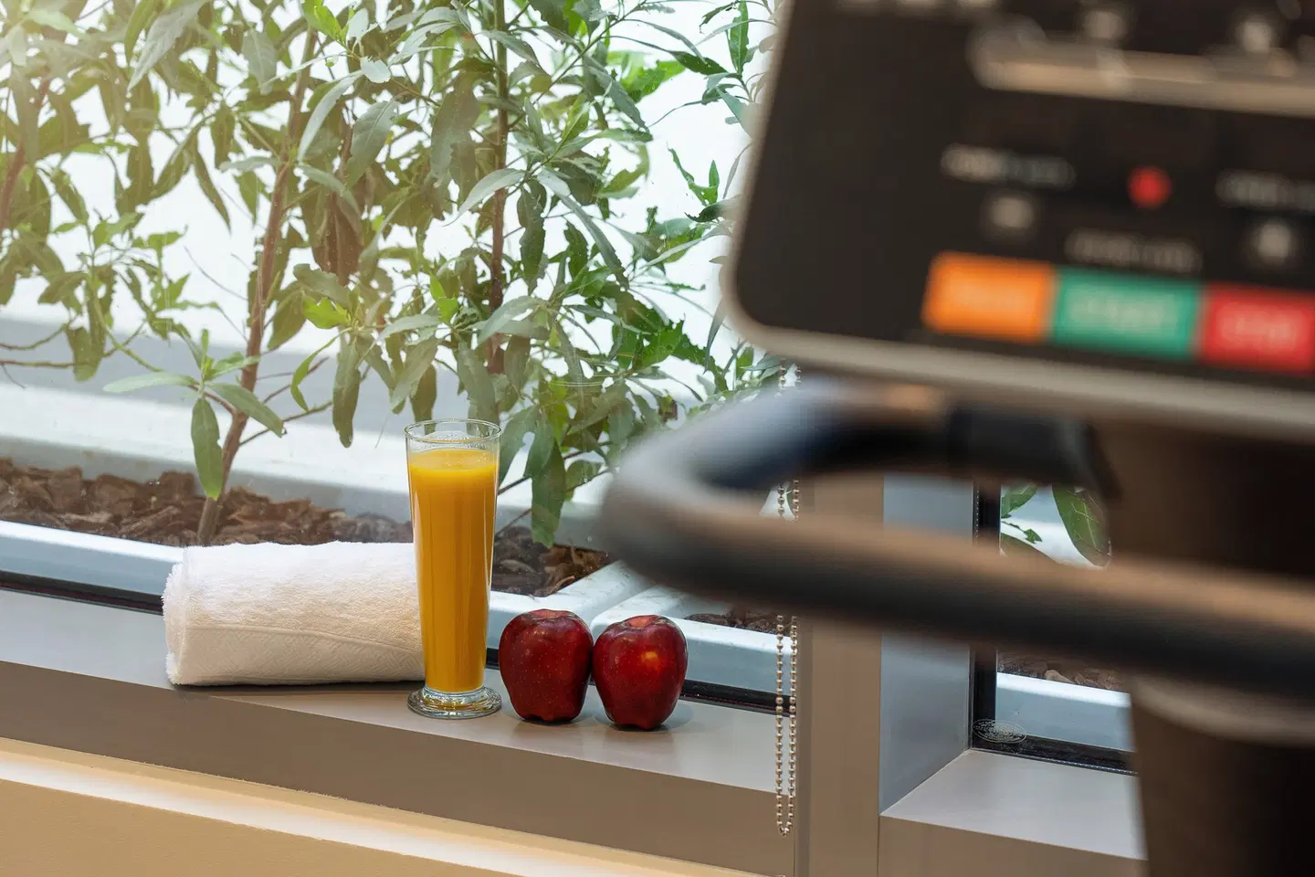 Hampton by Hilton Dubai Al Barsha SPORTS_AND_LEISURE