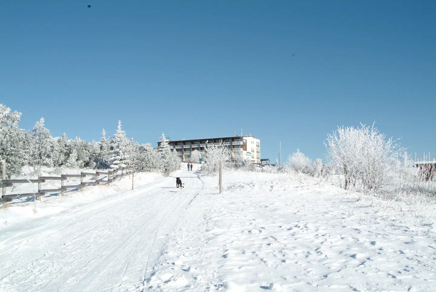 Wellness- & Nationalpark-Hotel Schliffkopf Strand
