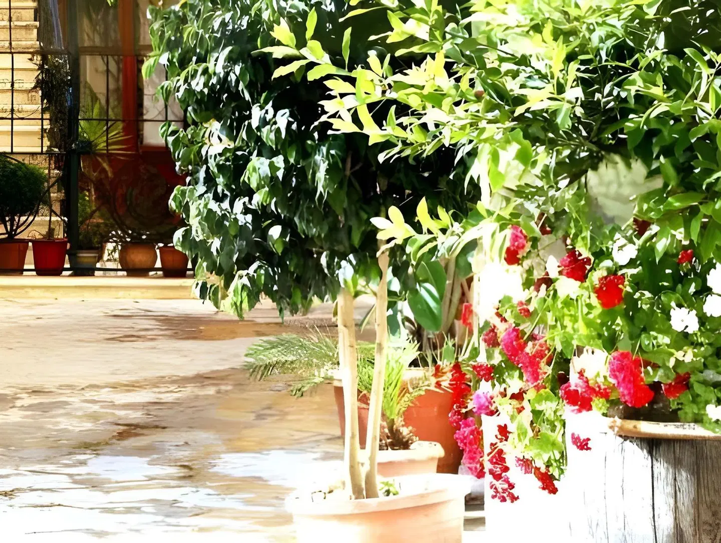 Ionas Boutique Hotel Strand