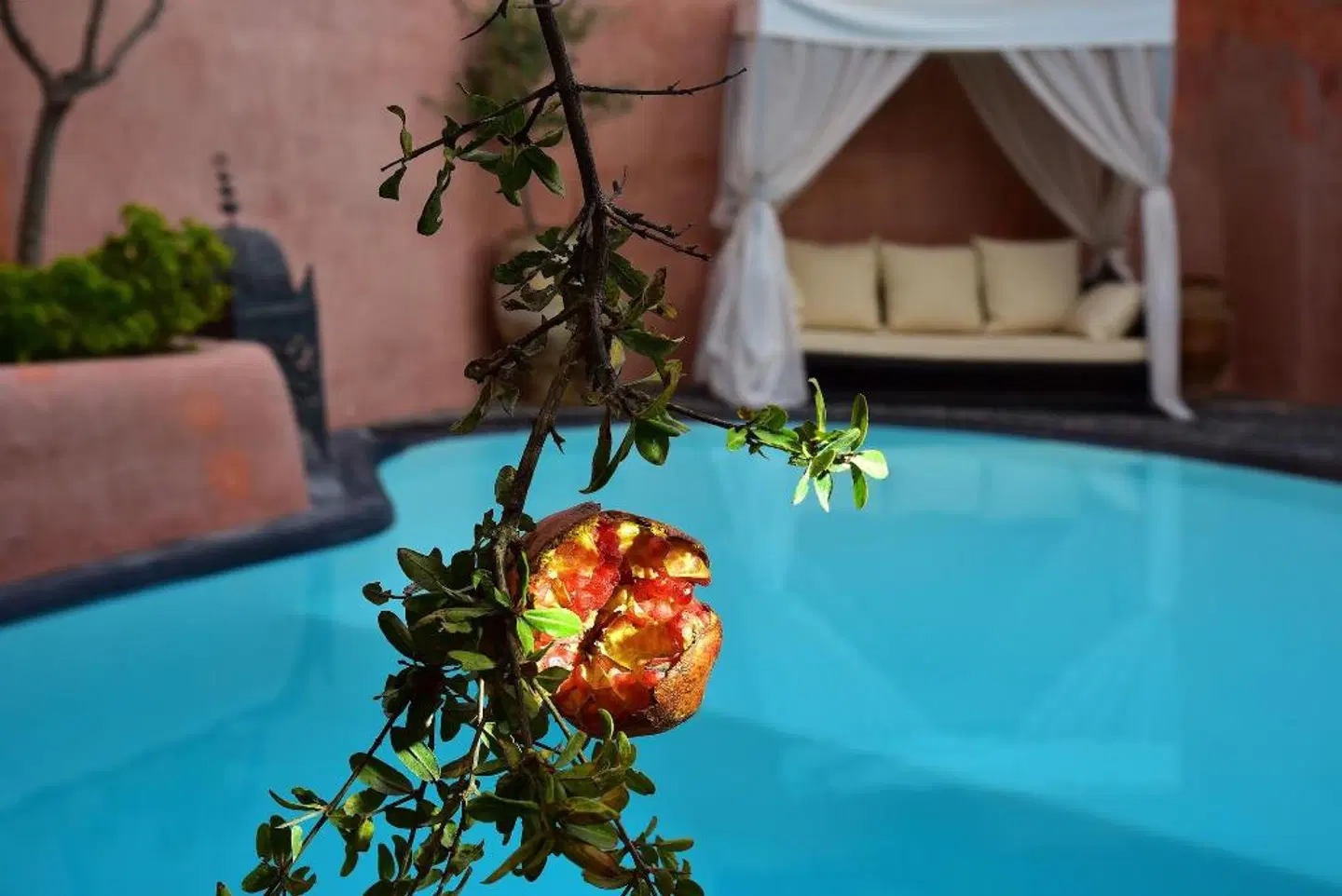 Ducato Wine Village OUTDOOR_POOL