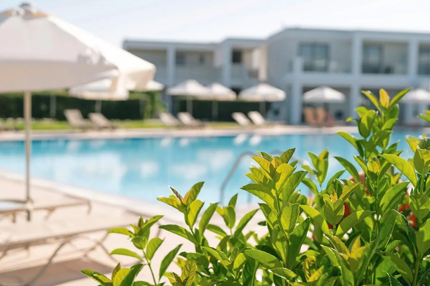 Levante powered by Playitas OUTDOOR_POOL