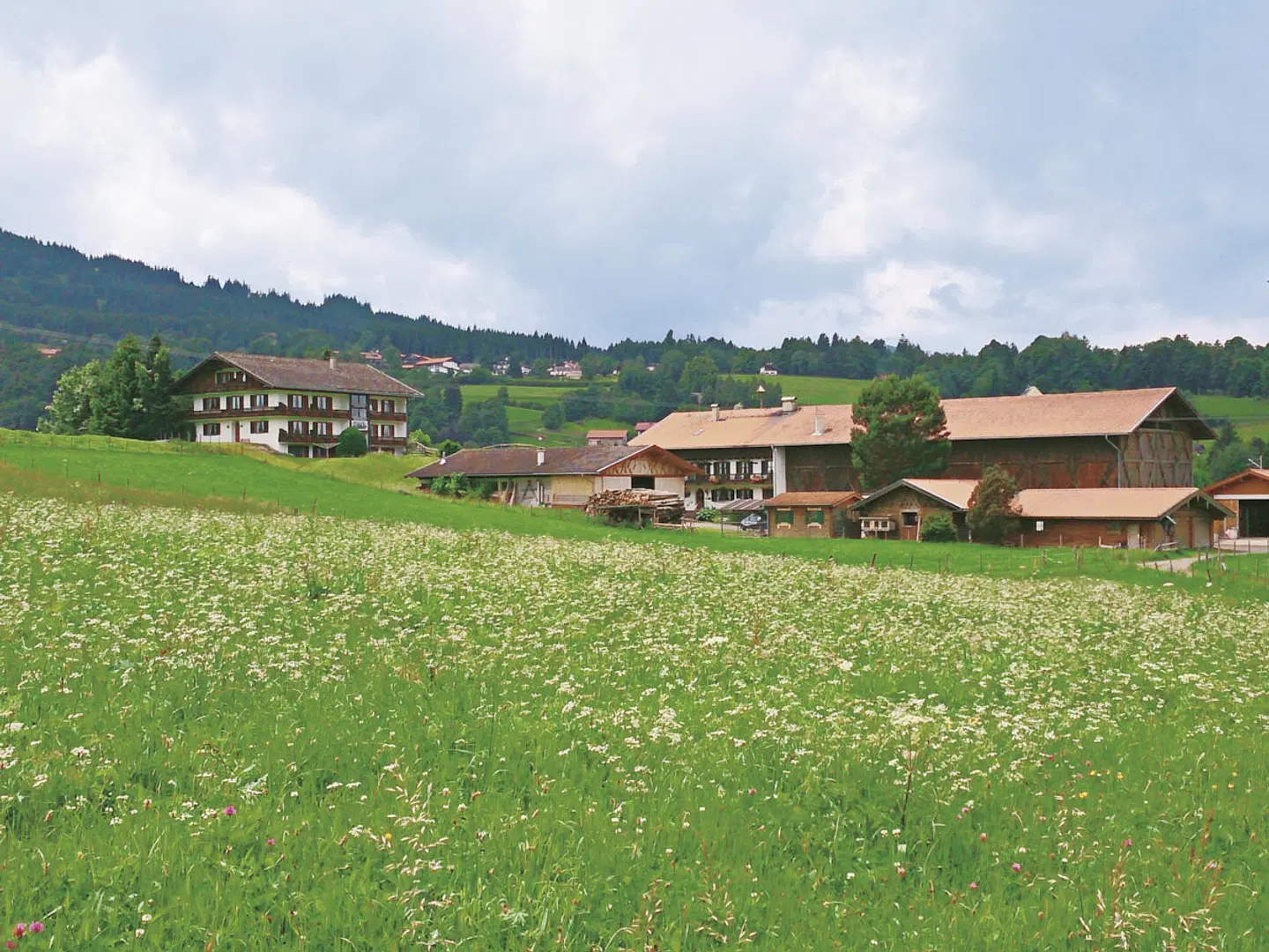 Gästehaus Kohlerhof LANDSCAPE