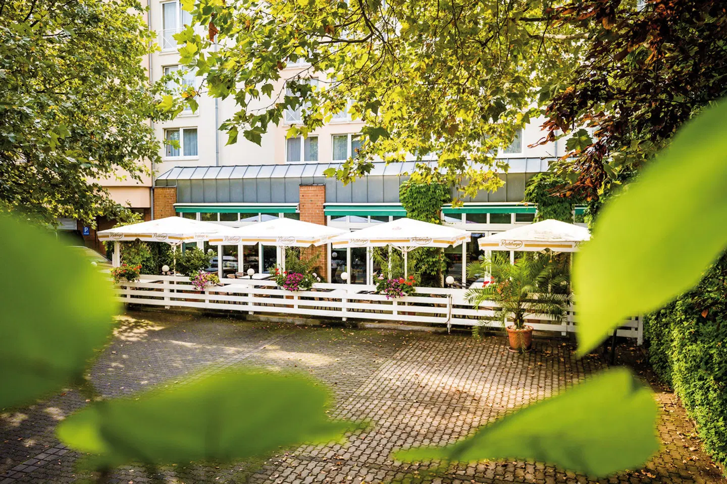 Taste Hotel Dresden Garten