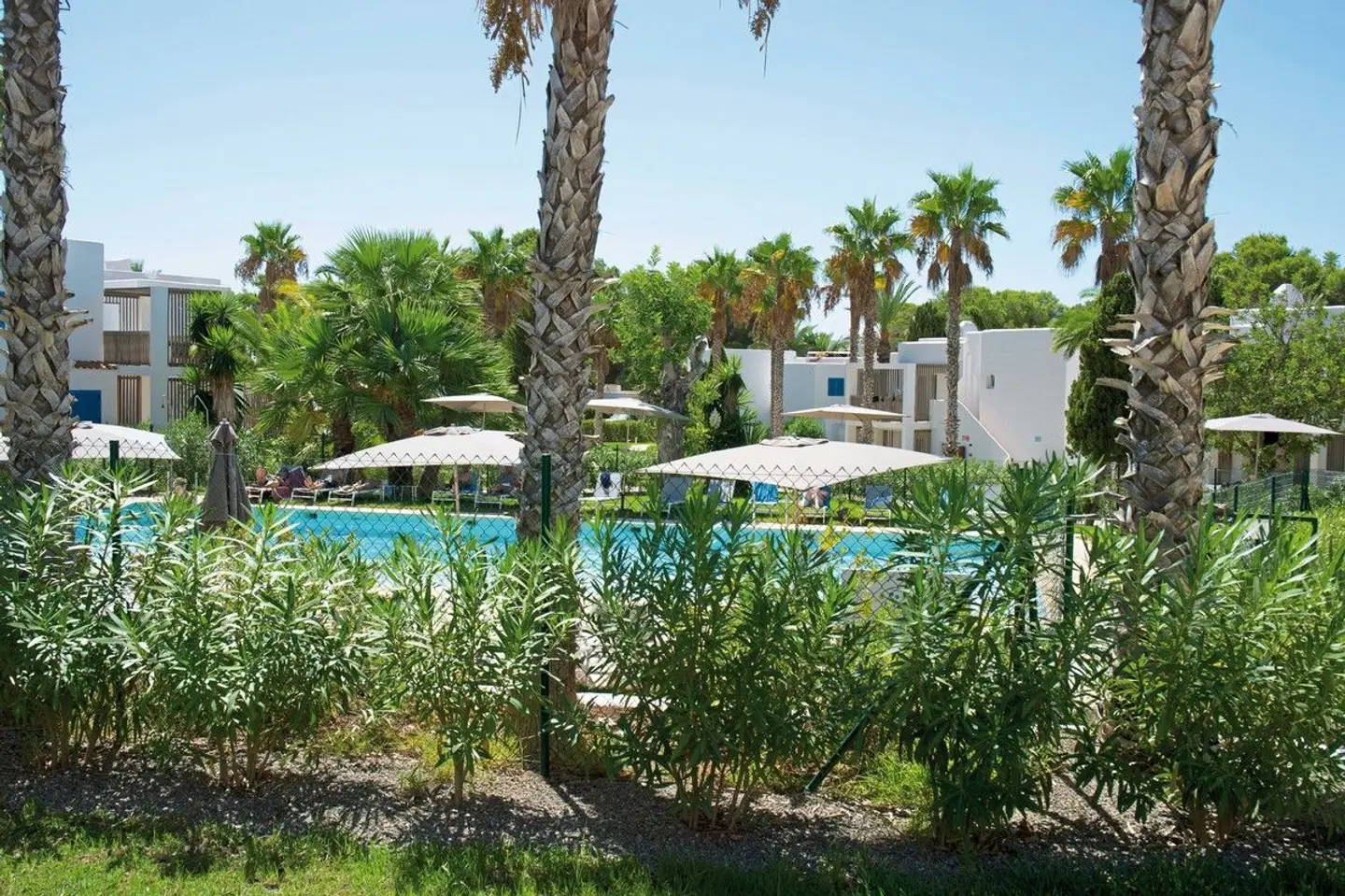 Cala Llenya Resort Ibiza Garten