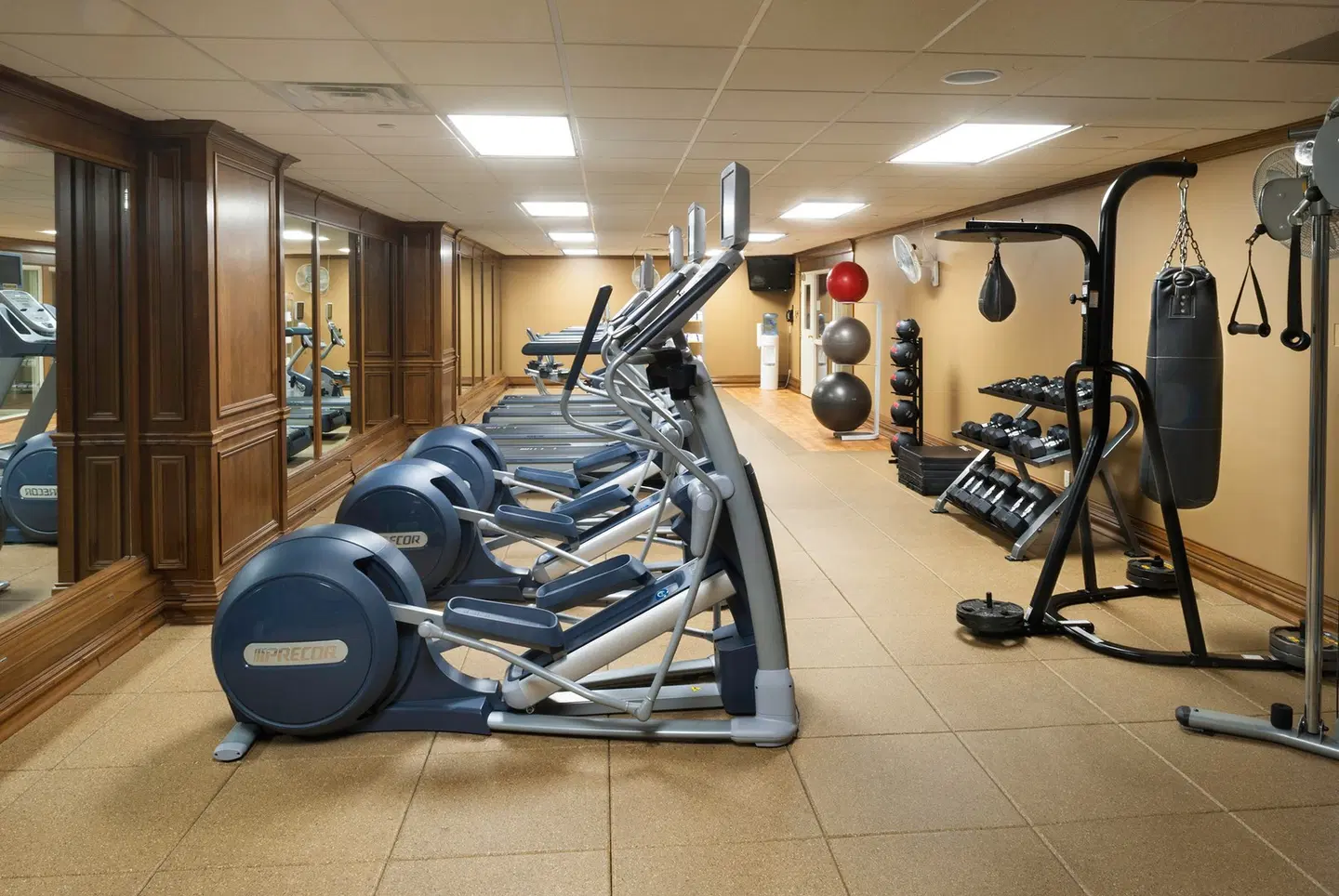 President Abraham Lincoln Springfield - a DoubleTree by Hilton Hotel SPORTS_AND_LEISURE