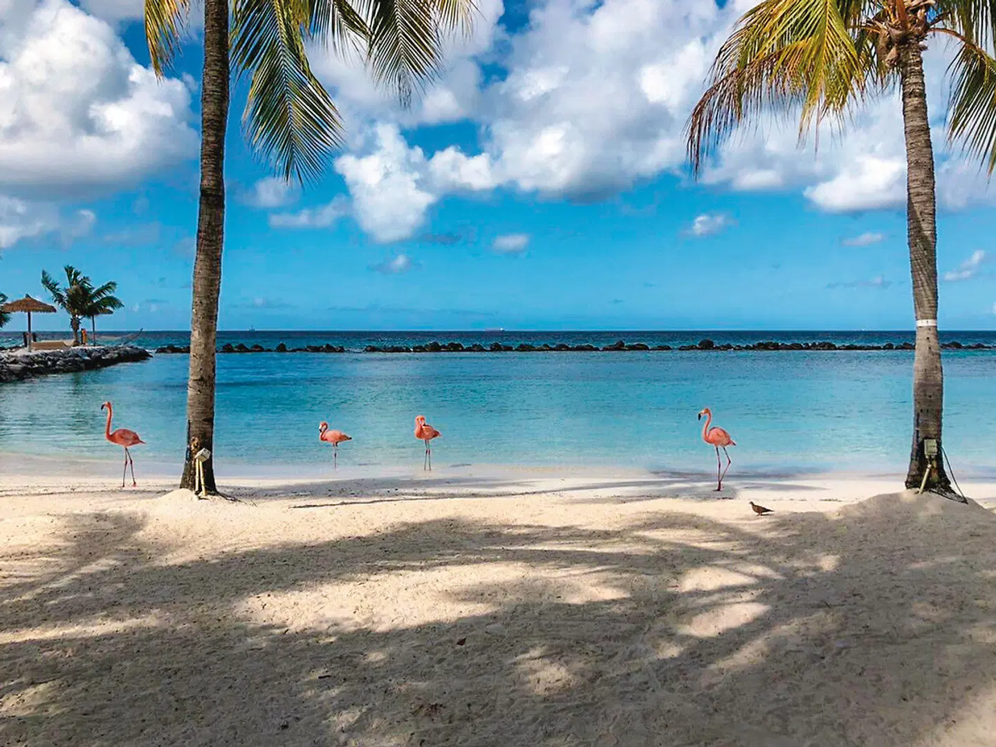 Renaissance Wind Creek Aruba Resort Strand