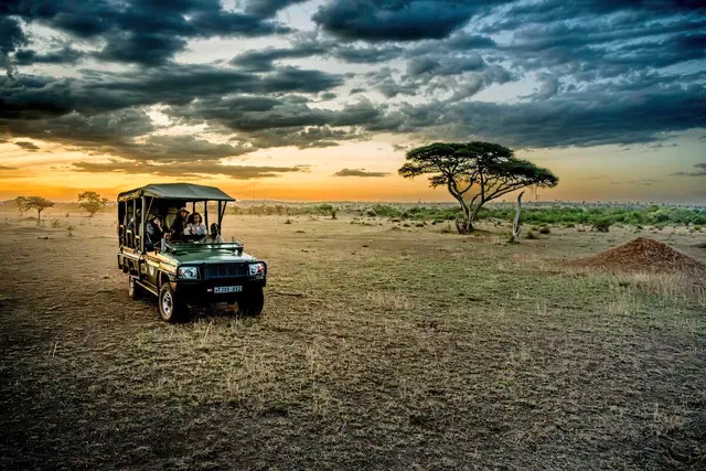 Magie der Savanne - Zwischen Baobabs und Kilimandscharo (7 Nächte) SPORTS_AND_LEISURE