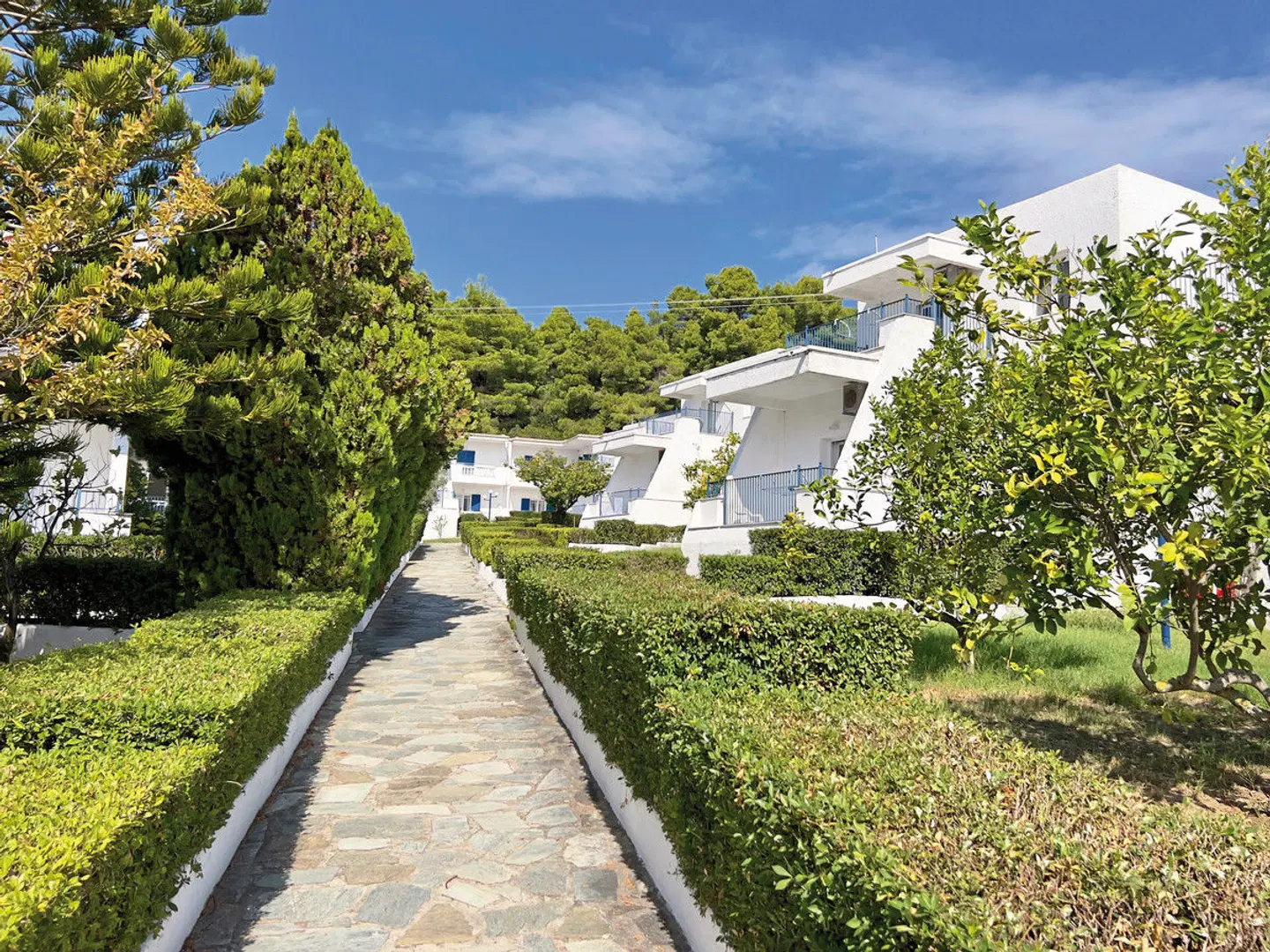 Muses LANDSCAPE