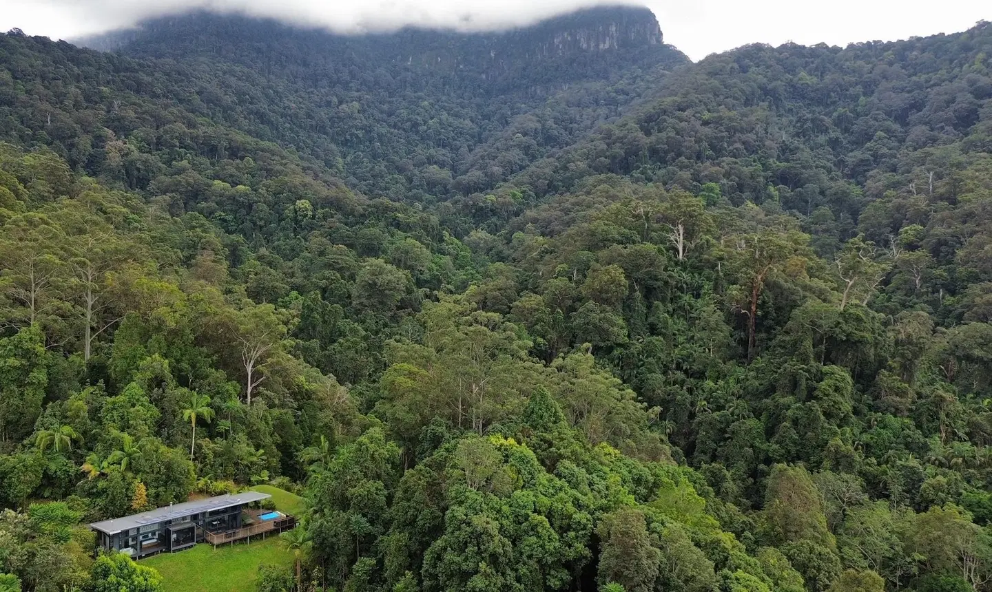 Crystal Creek Rainforest Retreat LANDSCAPE