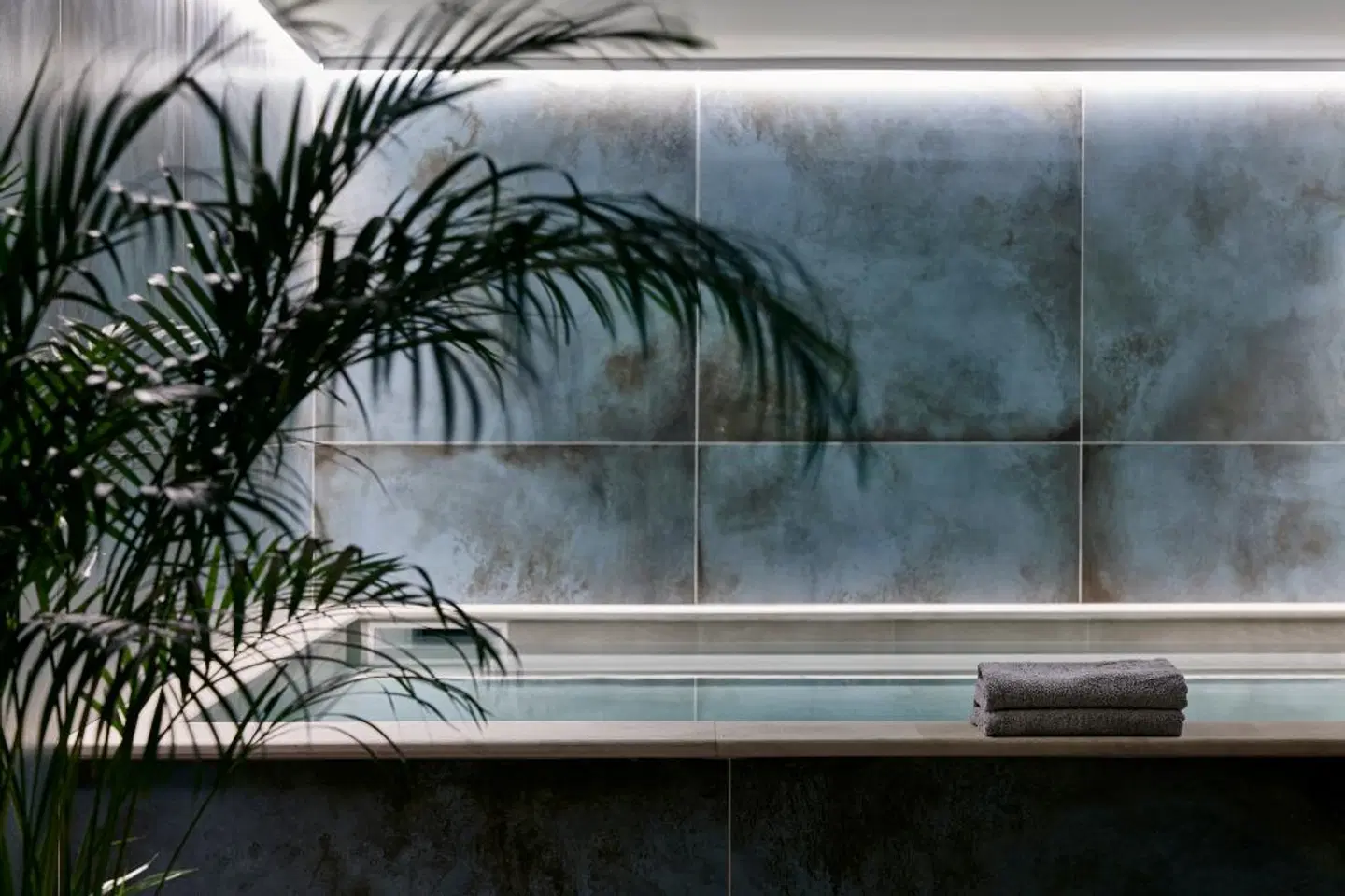 Celestial All Suites Tiere