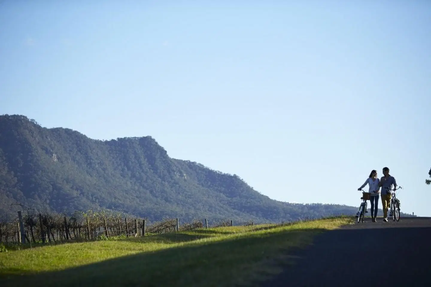 Spicers Vineyards Estate LANDSCAPE