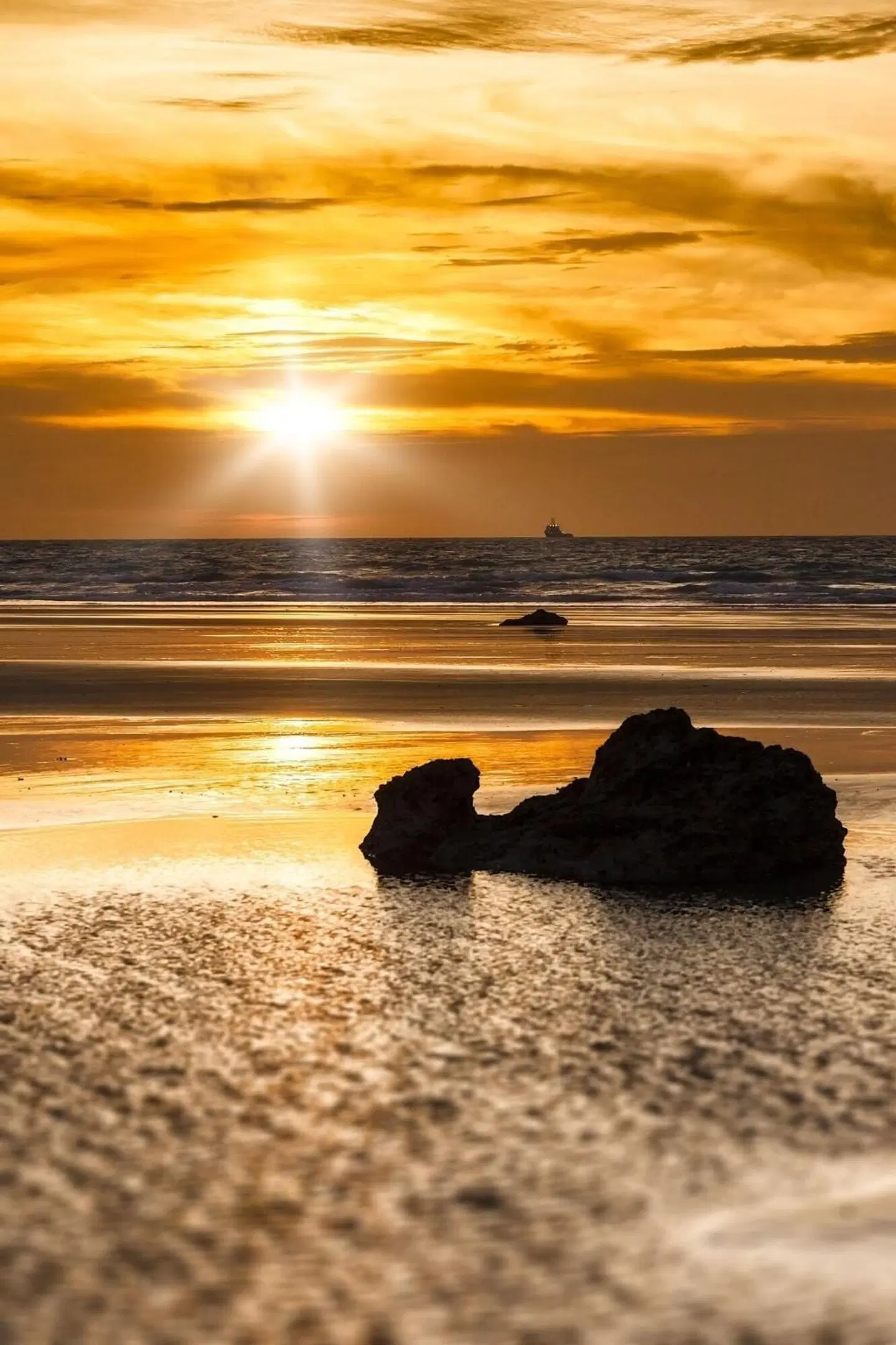 The Pearle of Cable Beach Tiere