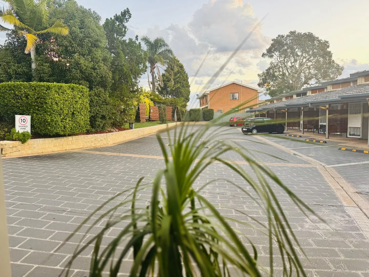 Jetty Motel LANDSCAPE
