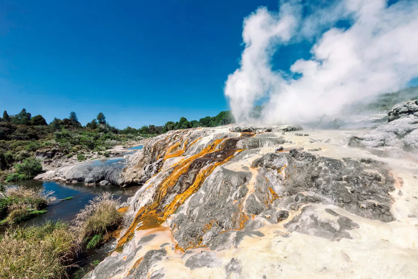 Kleingruppen-Safari Neuseeland LANDSCAPE