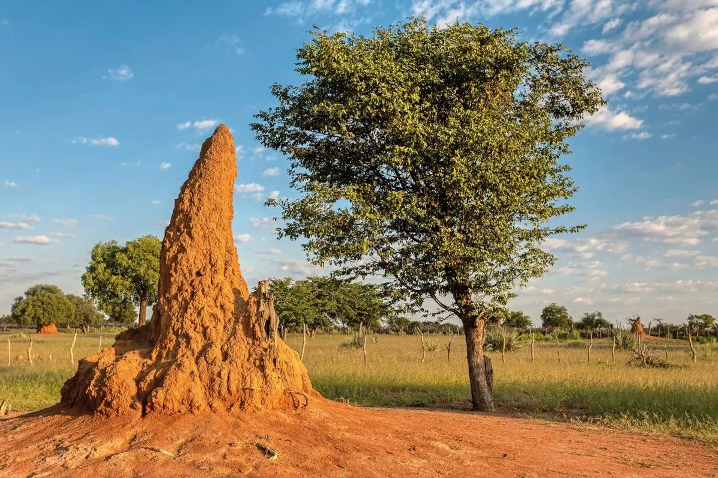 Namibia mit Kinderaugen LANDSCAPE