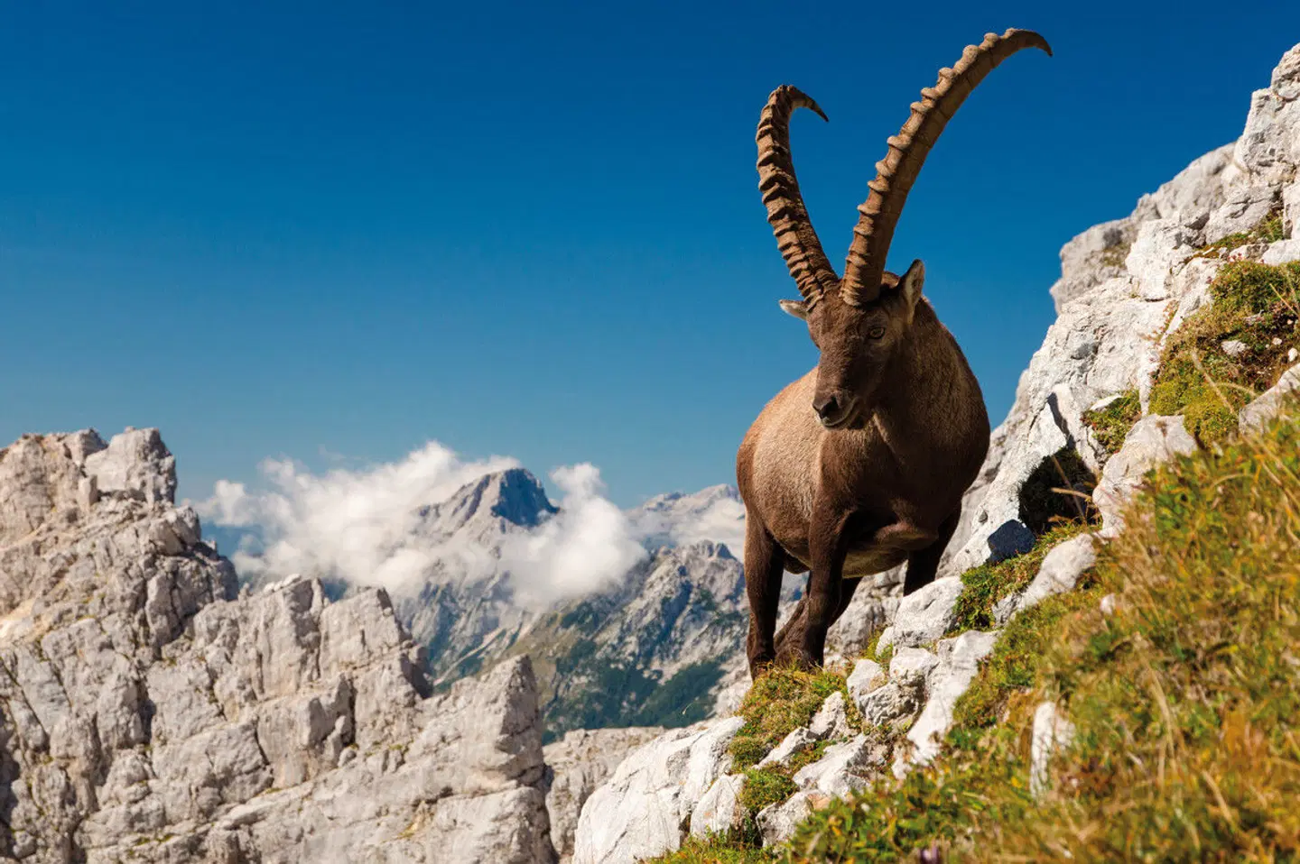 Alpe Adria Trail SPORTS_AND_LEISURE