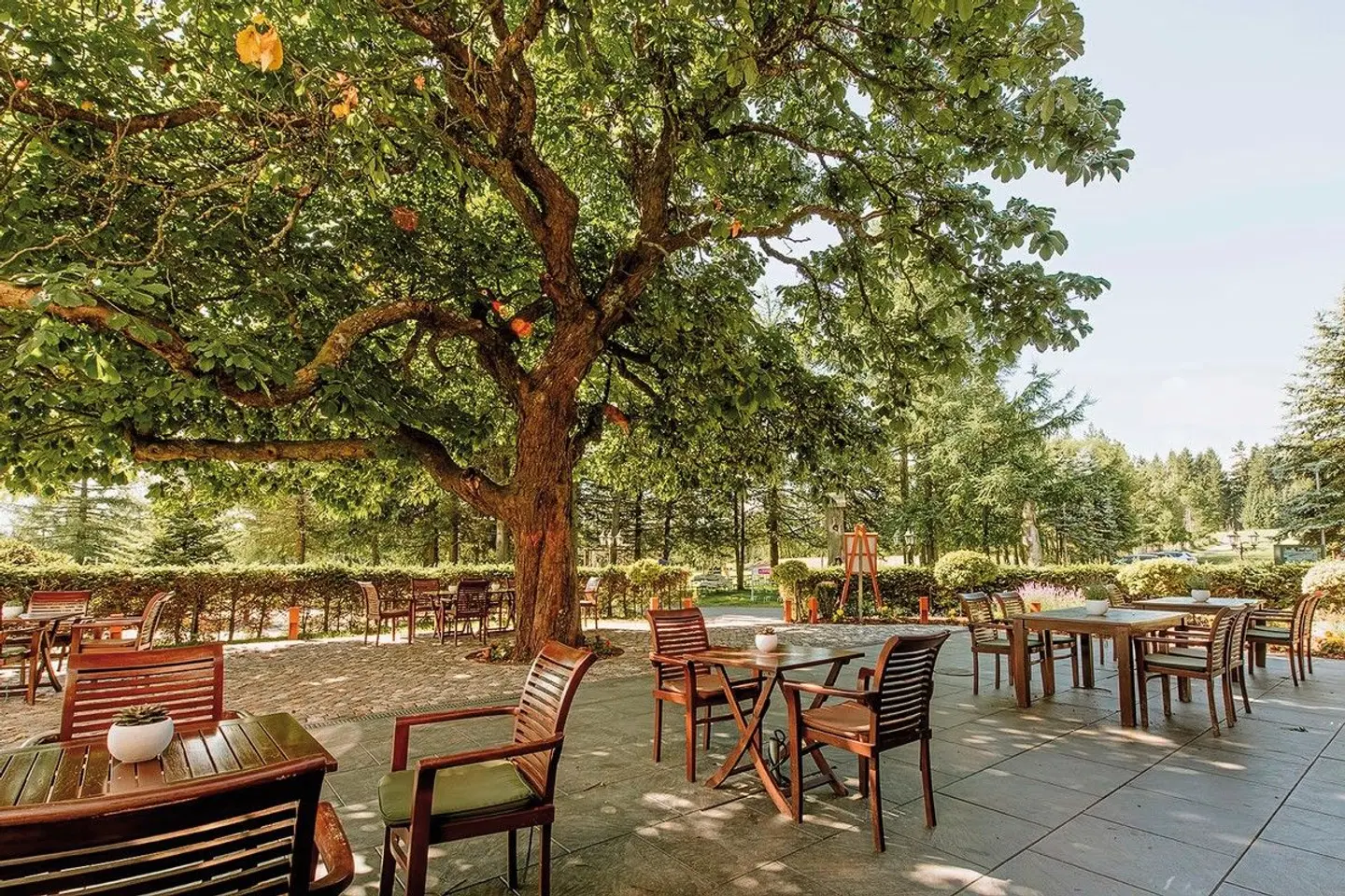 Waldhotel Kreuztanne Terrasse