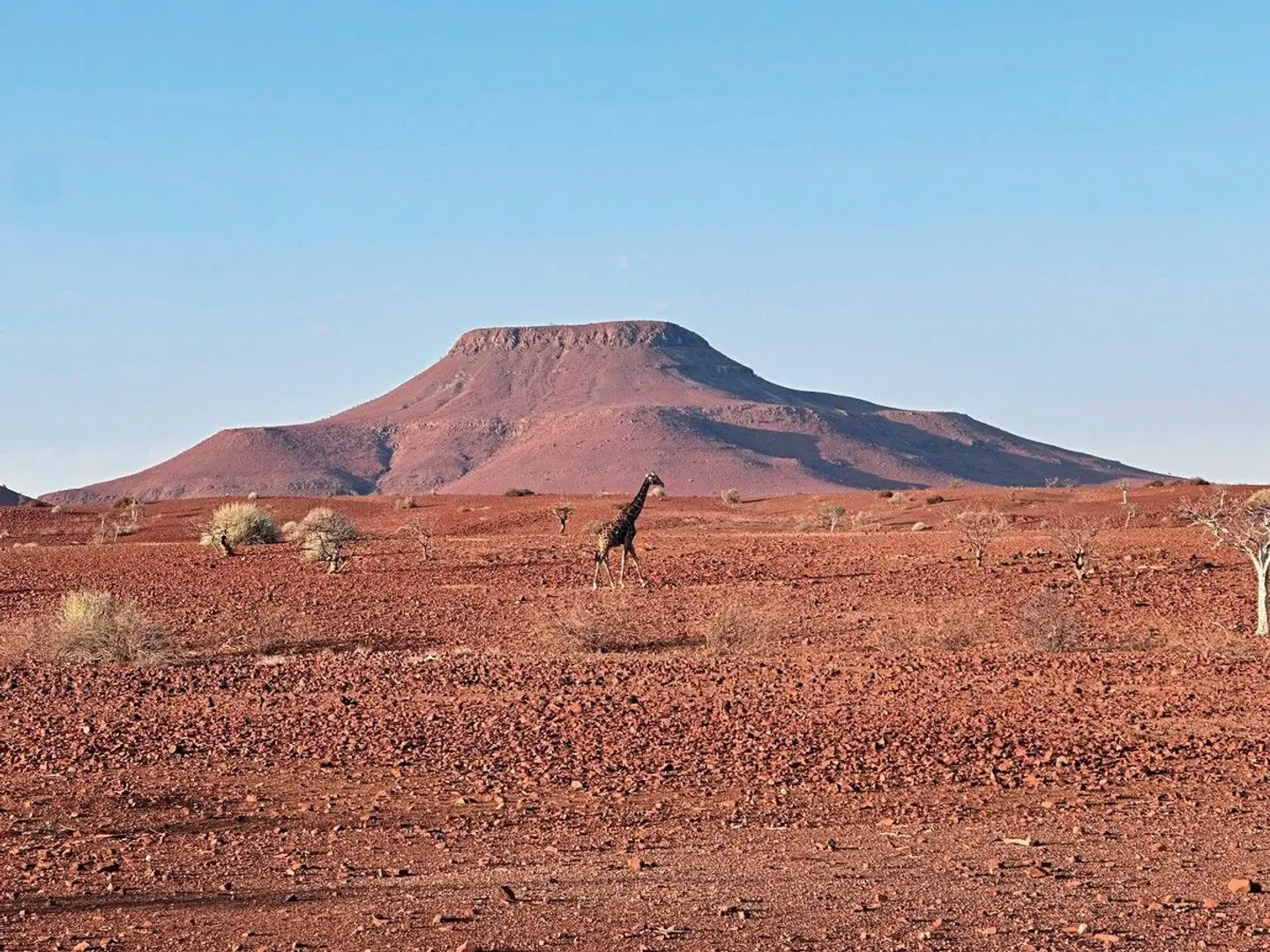 Traumreise Namibia LANDSCAPE