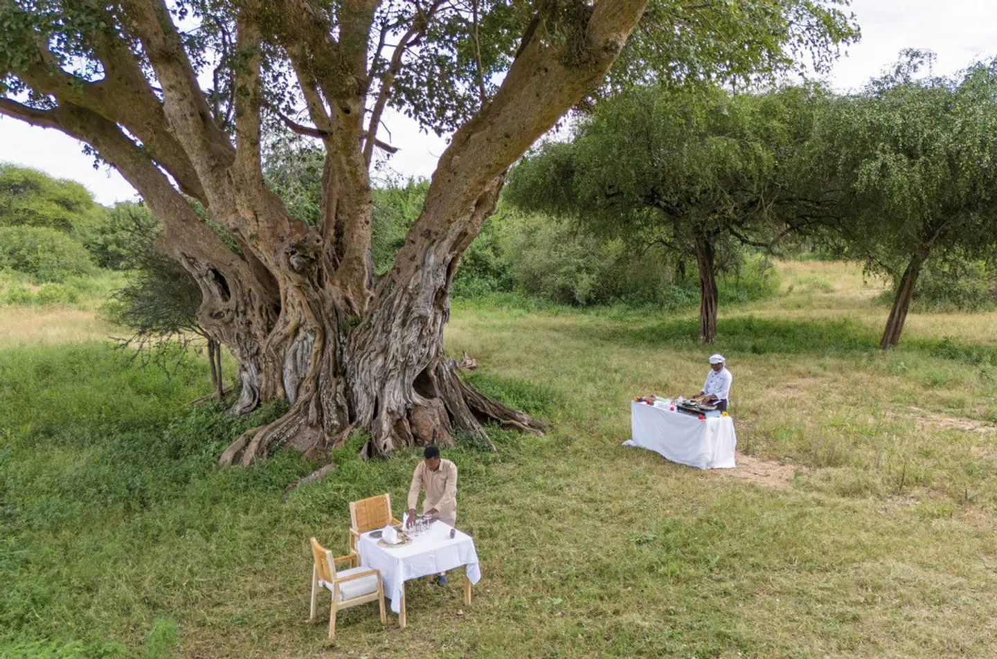 Abenteuer Tansania Garten