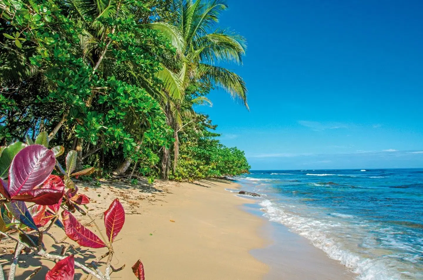 Abenteuer zwischen Vulkan und Regenwald Strand