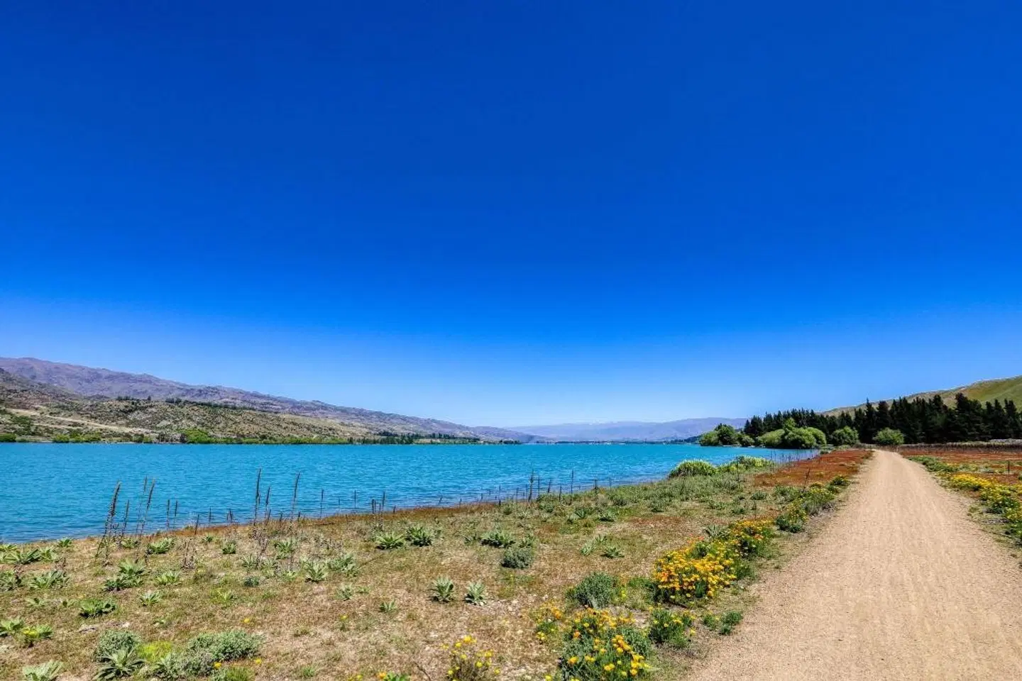 Marsden Lake Resort Central Otago LANDSCAPE