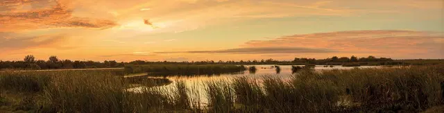 Florida Intensiv LANDSCAPE