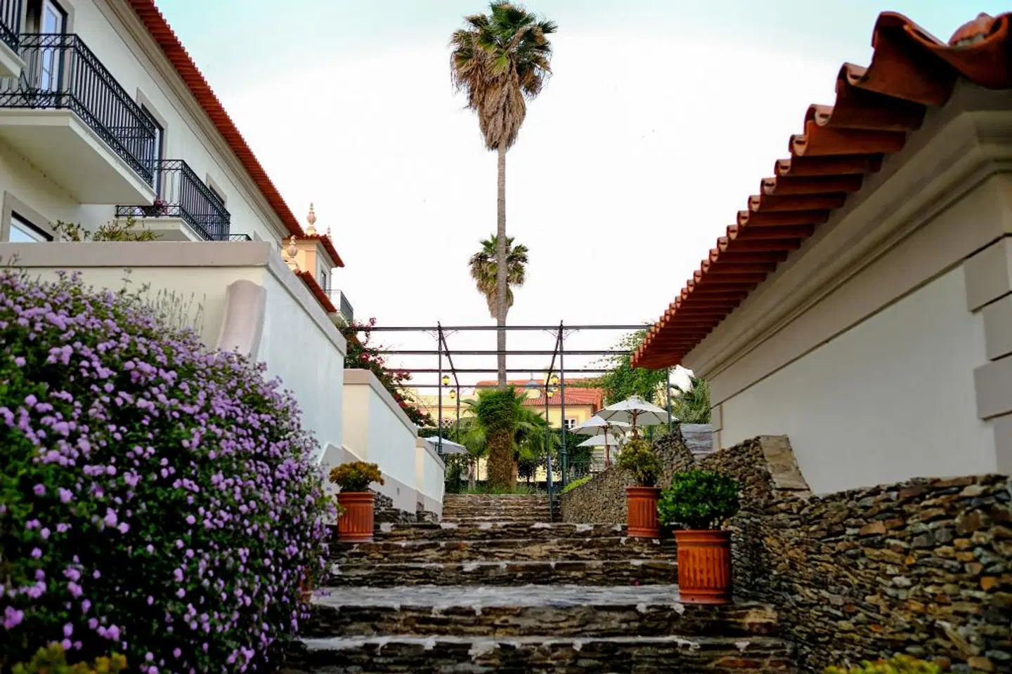 The Vintage House Douro Garten