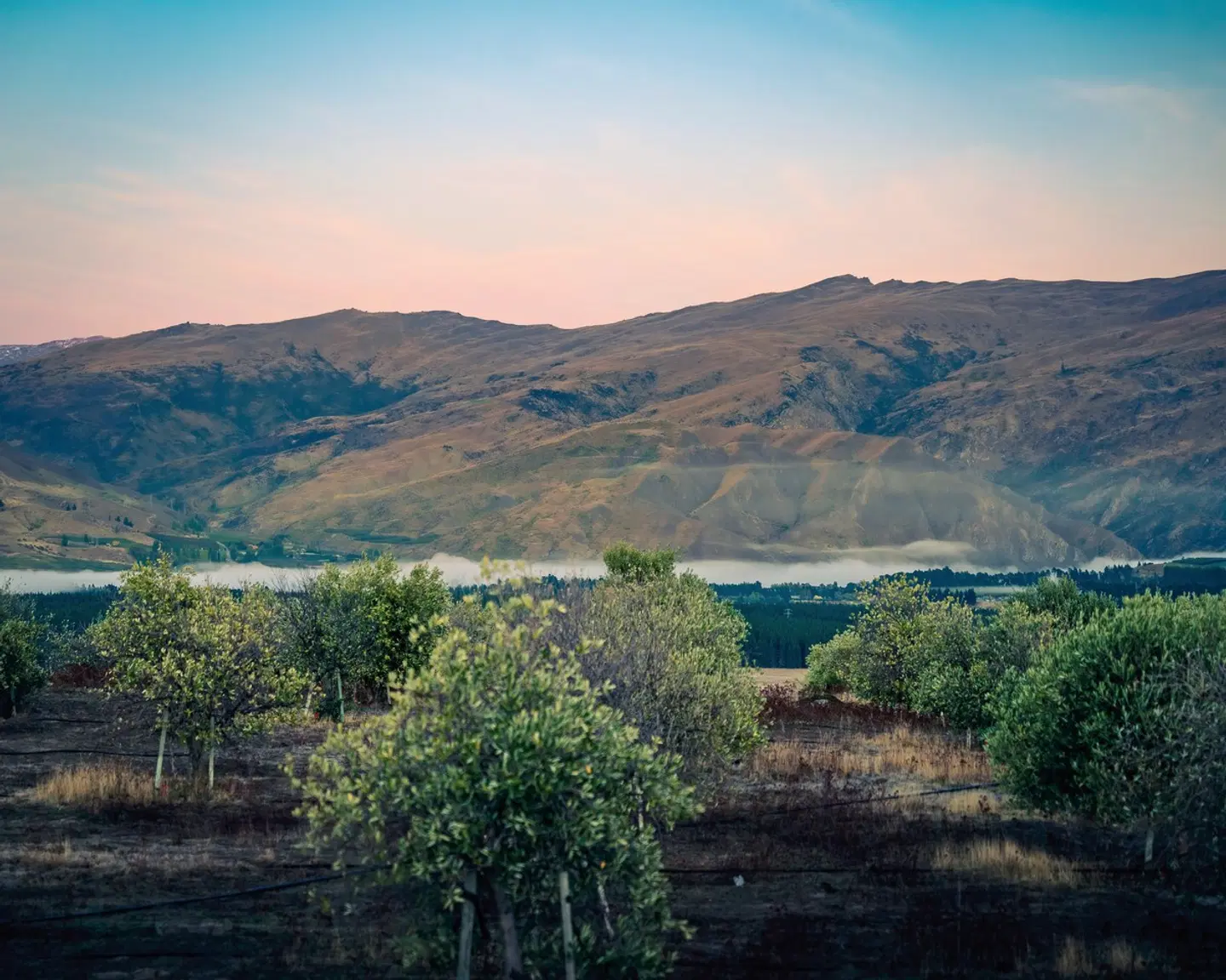 Haurapa PurePod LANDSCAPE
