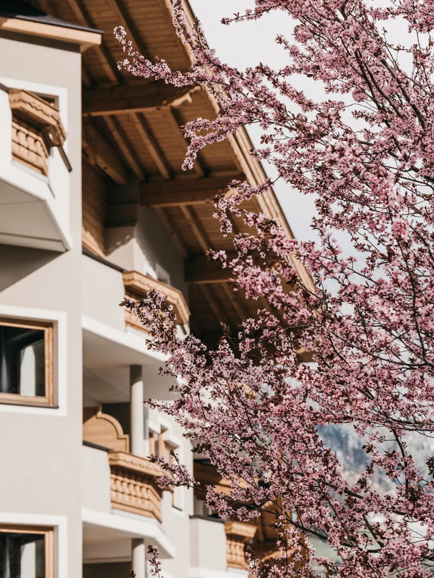 VAYA Zillertal EXTERIOR