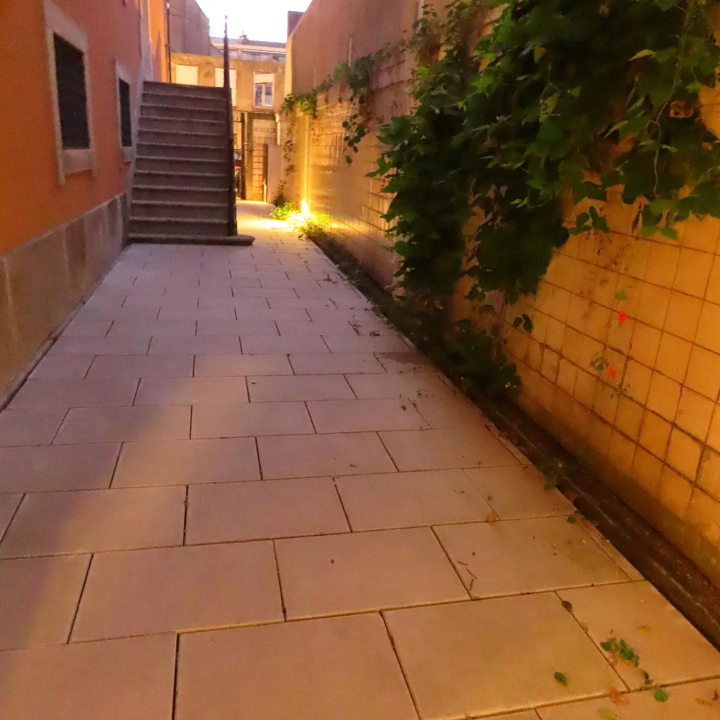 Casa Rietsch Garten