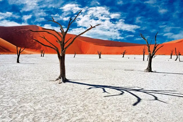 Unter Afrikas Sternen - Namibia im Dachzelt erleben SPORTS_AND_LEISURE