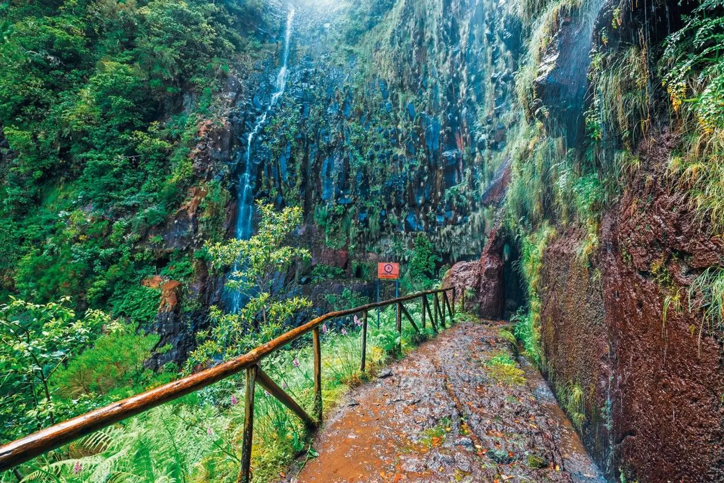 Die besten Seiten von Madeira LANDSCAPE