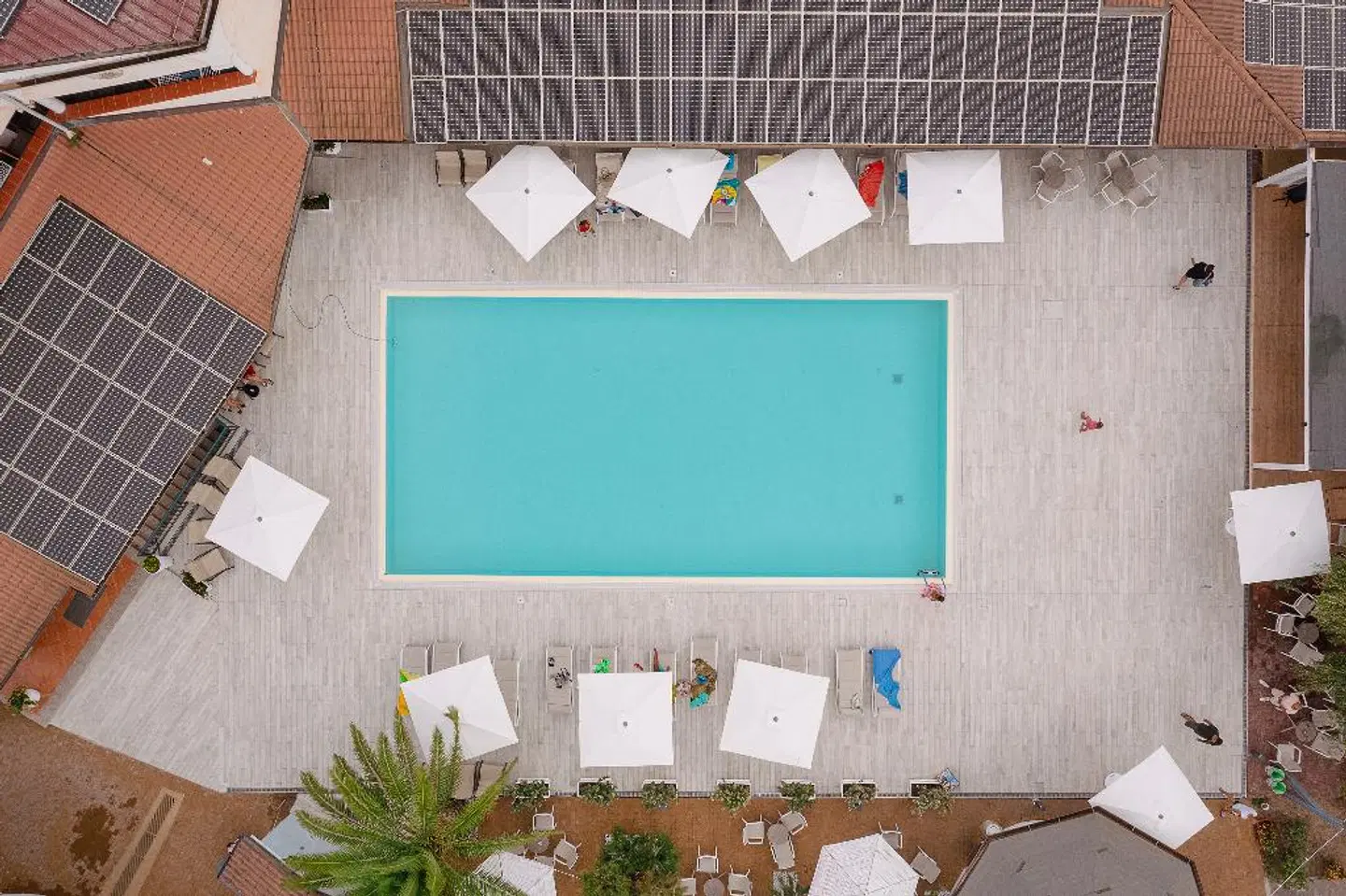 Hotel Club Le Rose MODEL_IMPRESSION