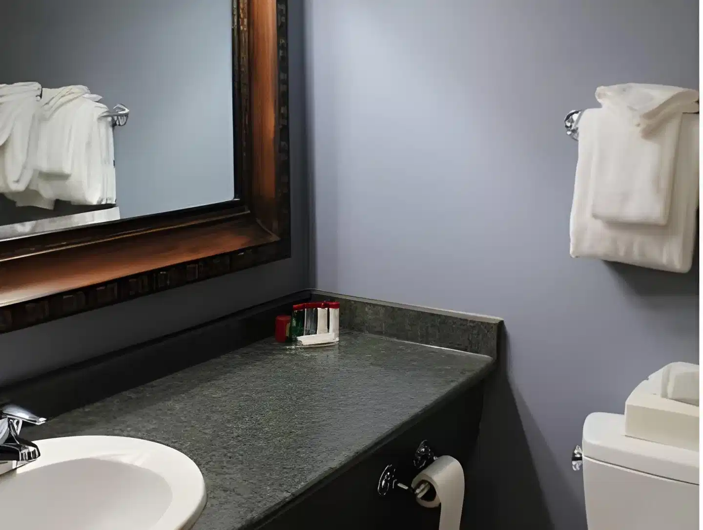 QUALITY INN WHITEHORSE Badezimmer